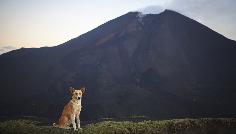 Guatemala Vulkan Reise Angebote Schweiz