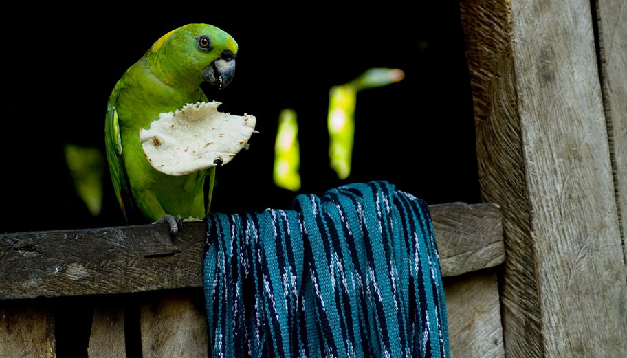 Guatemala Naturreisen Reisebüro Zürich