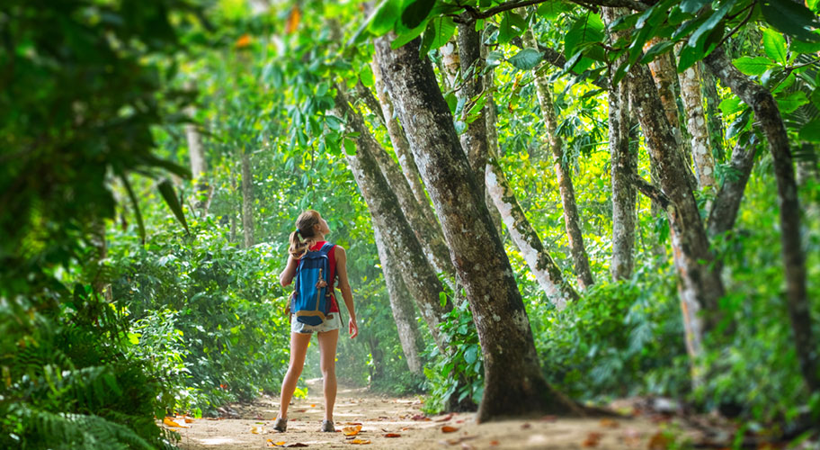 Costa Rica Rundreise und Baden