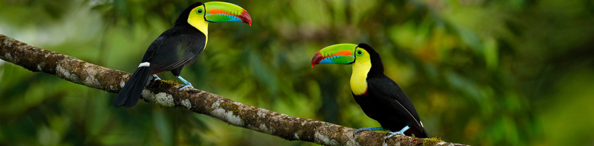 Belize Gruppenreisen