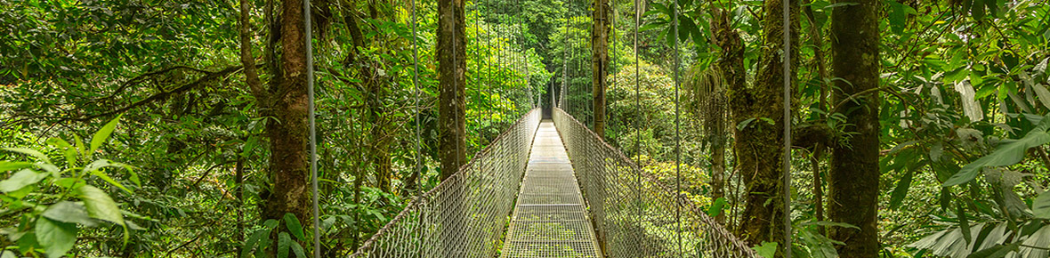 Hotels Monteverde