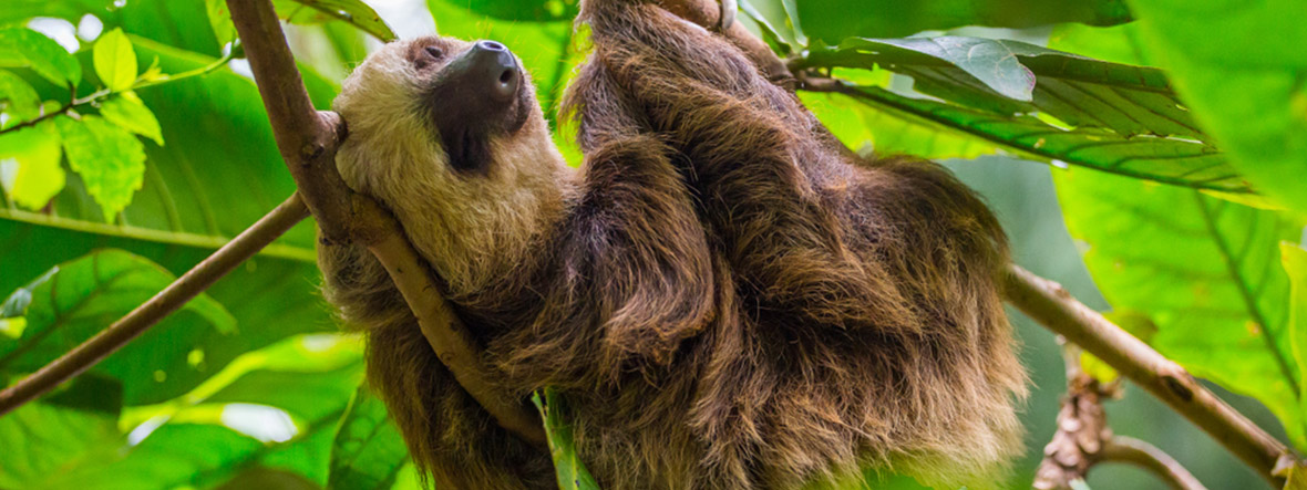 Belize Gruppenreisen